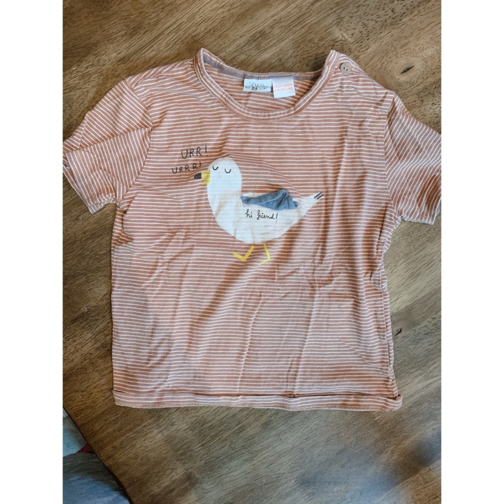 Zara shirt